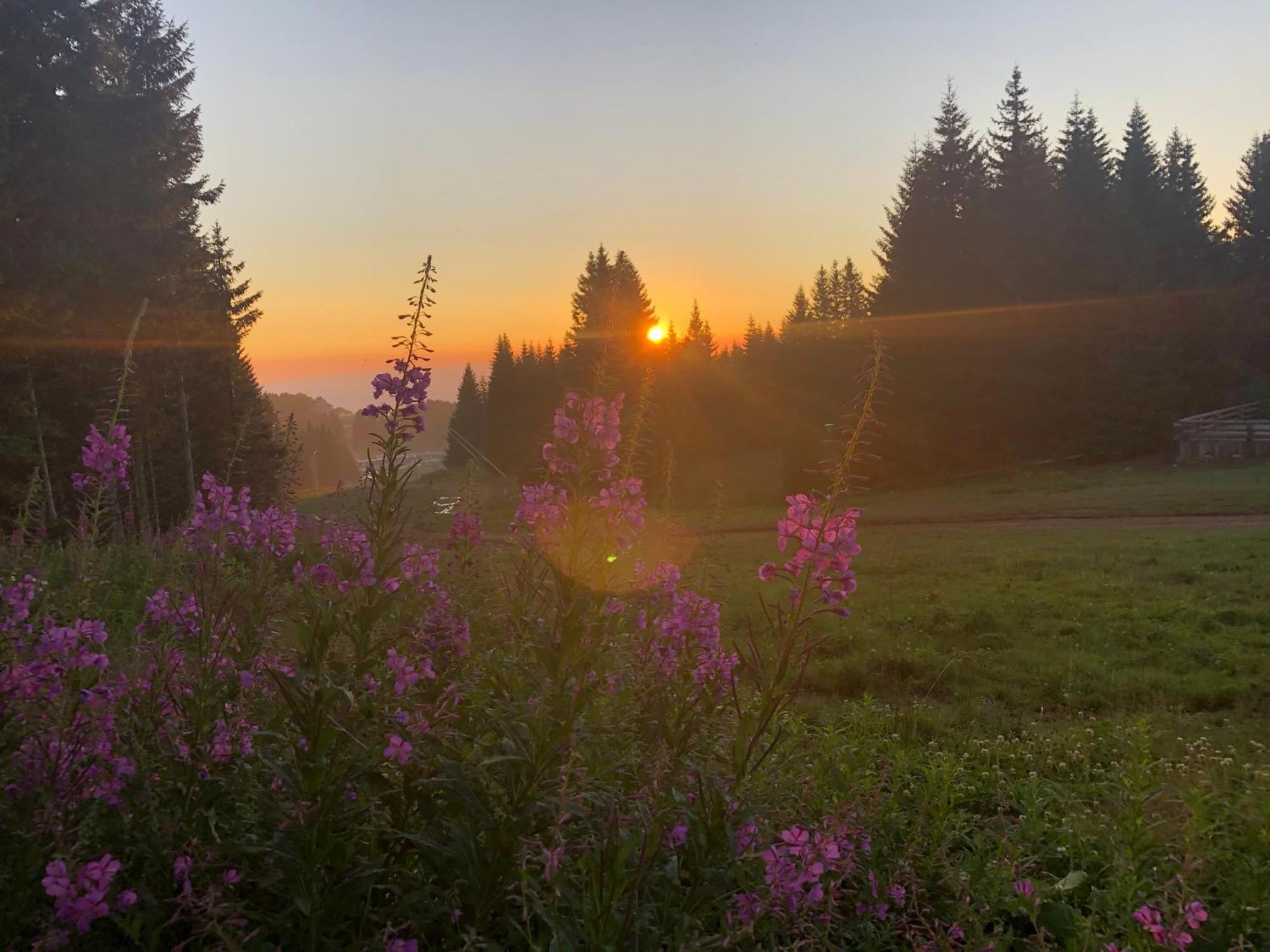 Mecava Apartmani Kopaonik Exterior foto