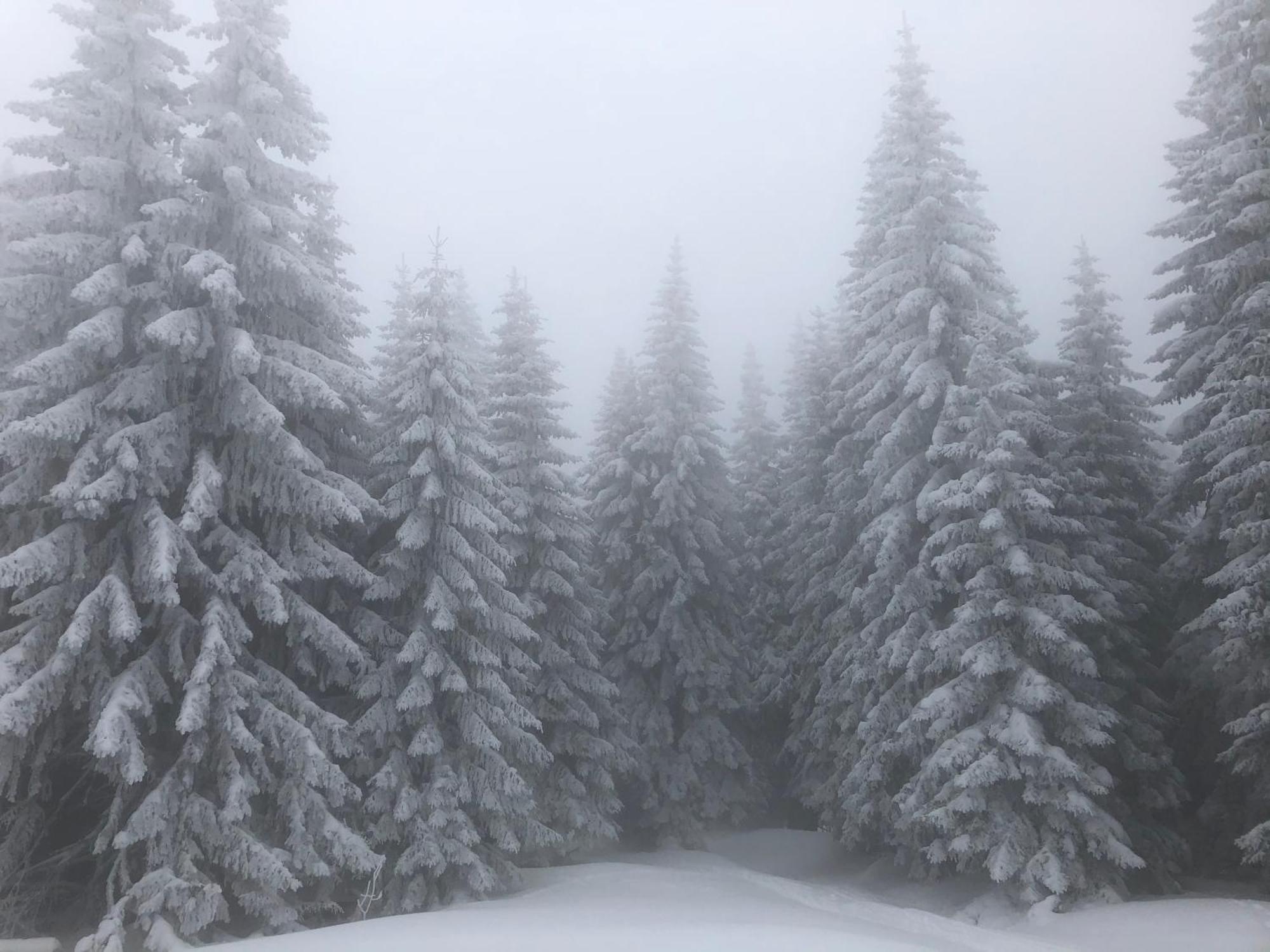 Mecava Apartmani Kopaonik Exterior foto